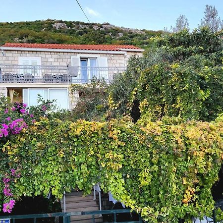 Tranquility And Nature In 4 Bedroom With Sea View Mokošica Eksteriør billede