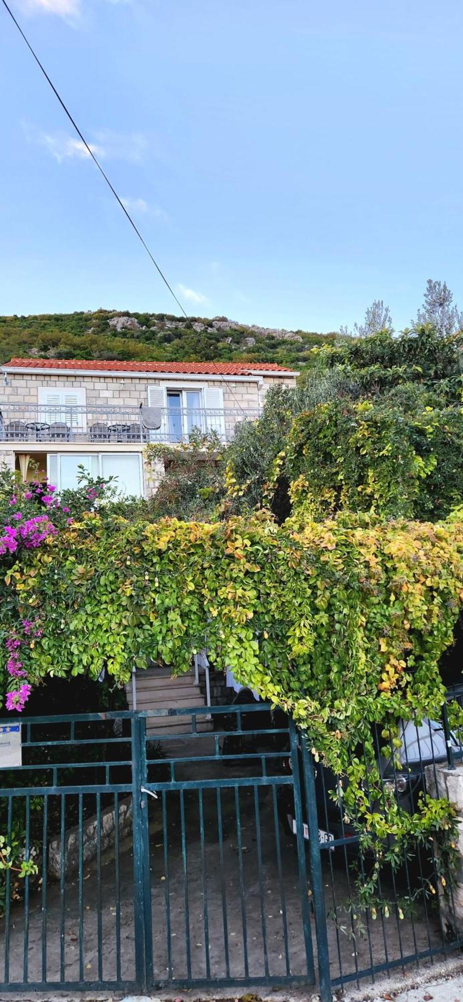 Tranquility And Nature In 4 Bedroom With Sea View Mokošica Eksteriør billede
